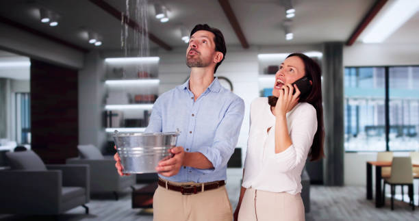 Best Basement water damage restoration  in Portage, WI